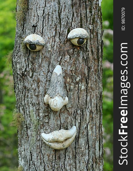 A really neat face on a tree. A really neat face on a tree