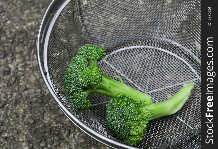Freshly washed broccoli spears in colander, pebbled surface in background. Freshly washed broccoli spears in colander, pebbled surface in background