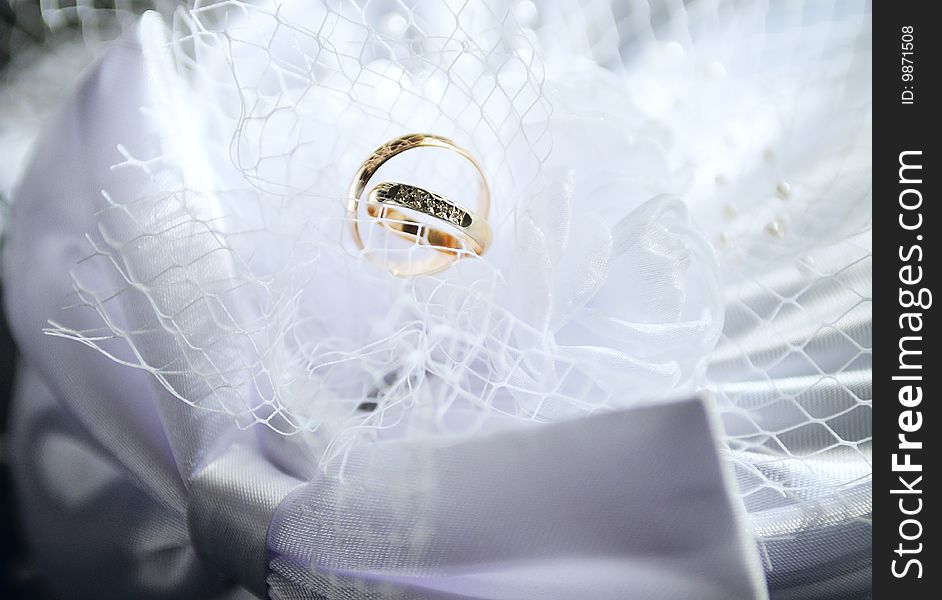 Wedding rings in a plume of a wedding hat of the bride