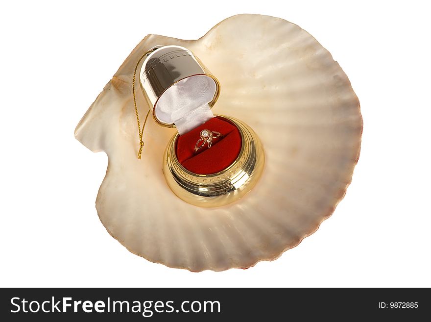 Seashell Isolated On White Background