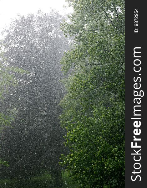 Torrential Rainwith ice storm  in a park on sommer time