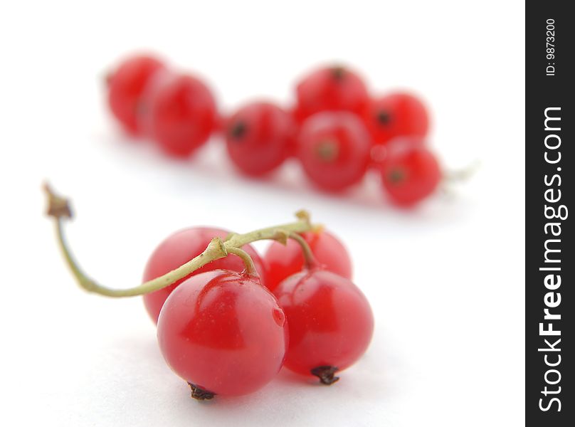 Red currant on a white background