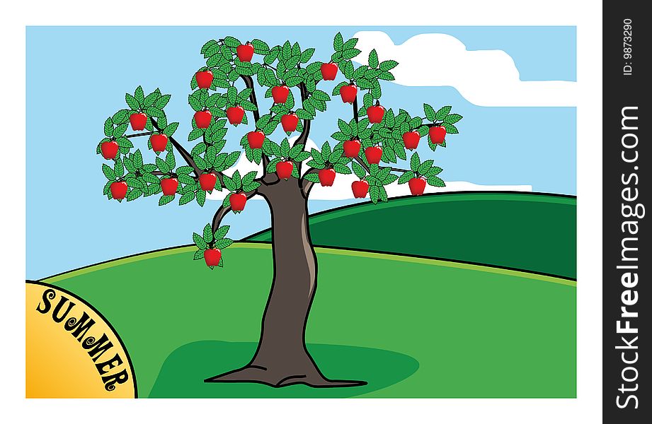 An apple tree with apple fruits. An apple tree with apple fruits