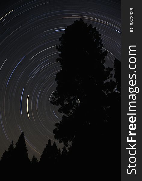 Star Trails In Yosemite