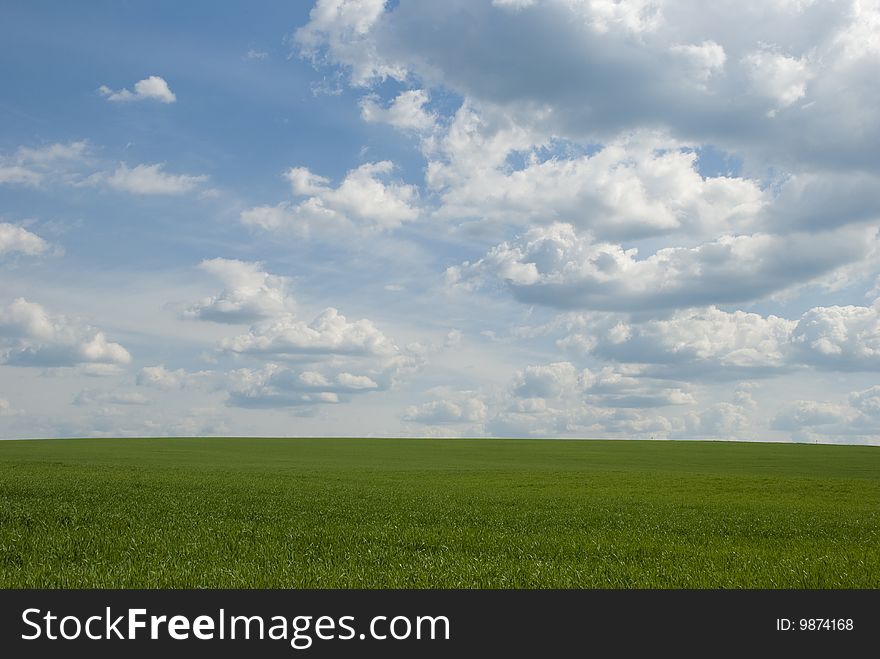 Landscape of the green field with bright solar sky. Landscape of the green field with bright solar sky