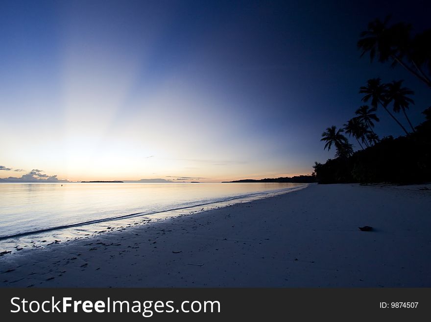 Beautiful tropical sunset at sea with palms