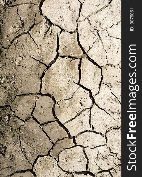 Cracked, parched land after a drought