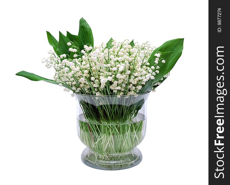 Bouquet of lily of the valley isolated over white