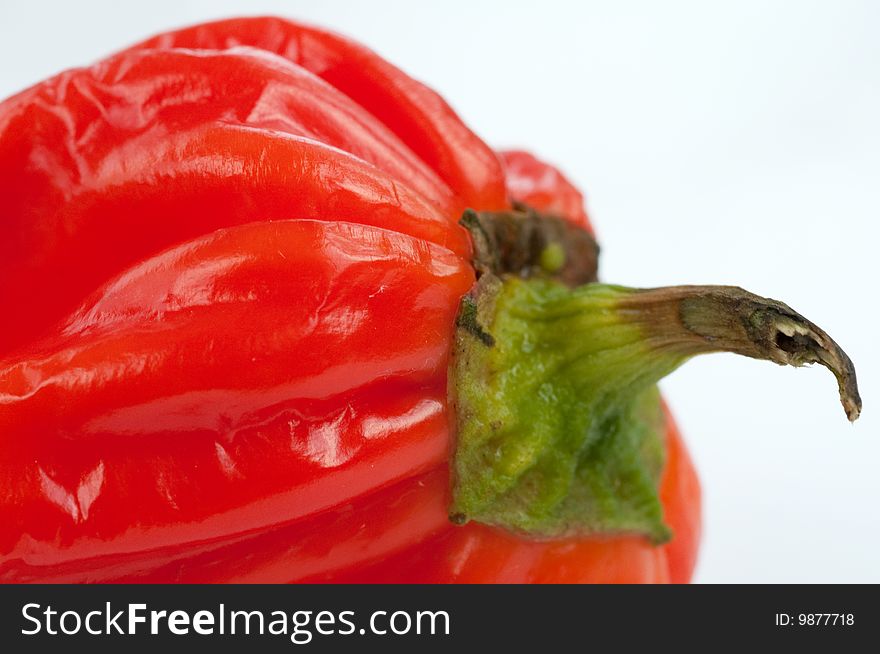 Red pepper close up captured. Red pepper close up captured
