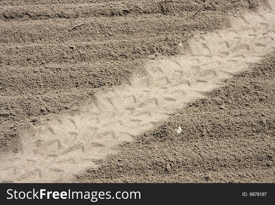 Tread marks left by a vehicle on the beach sand. Tread marks left by a vehicle on the beach sand