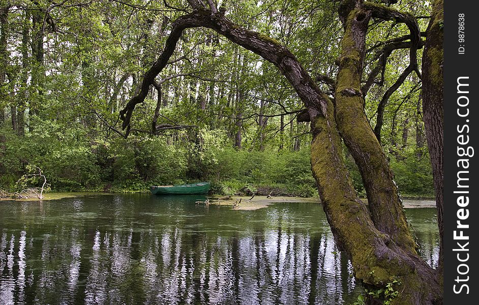 Shot in St. Naum, Lake Ohrid, Macedonia. Shot in St. Naum, Lake Ohrid, Macedonia