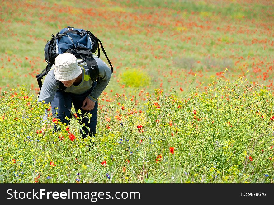 Happy hiker on a poppy field