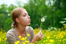 The Girl Blows On A Dandelion Stock Photography The Girl Blows On A Dandelion Stock Photography