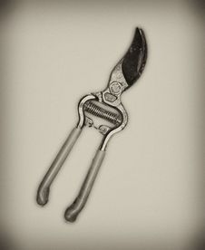 Garden Shears Royalty Free Stock Images Garden Shears Royalty Free Stock Images