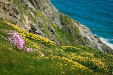Cliffs By Blue Sea, Ireland Royalty Free Stock Photo Cliffs By Blue Sea, Ireland Royalty Free Stock Photo