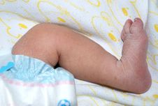 Newborn S Leg Stock Photos Newborn S Leg Stock Photos