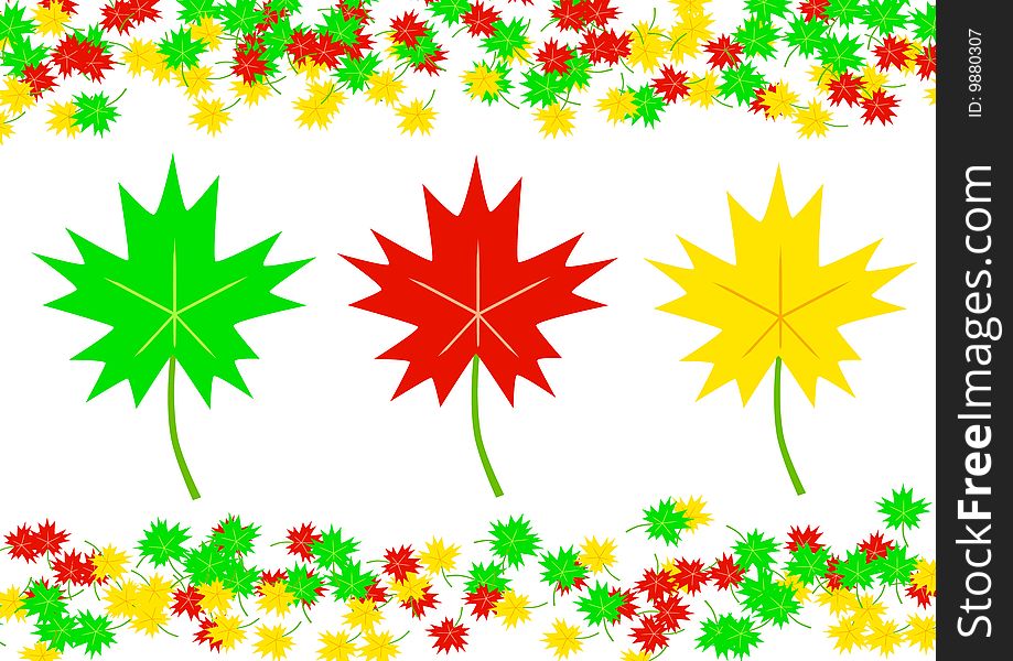 Coloured Leaves