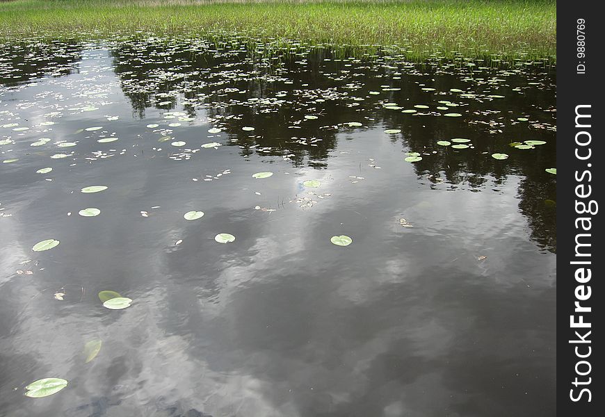 Summer sky reflected in water. Summer sky reflected in water