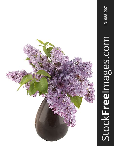 Bunch Of Lilac Flowers