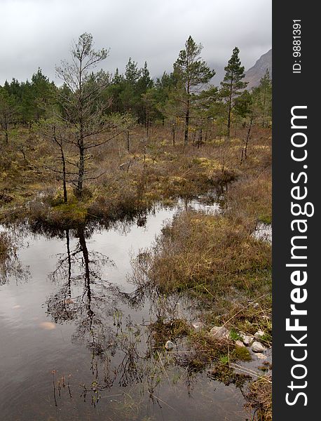 Scottish landscape - water and forest. Scottish landscape - water and forest