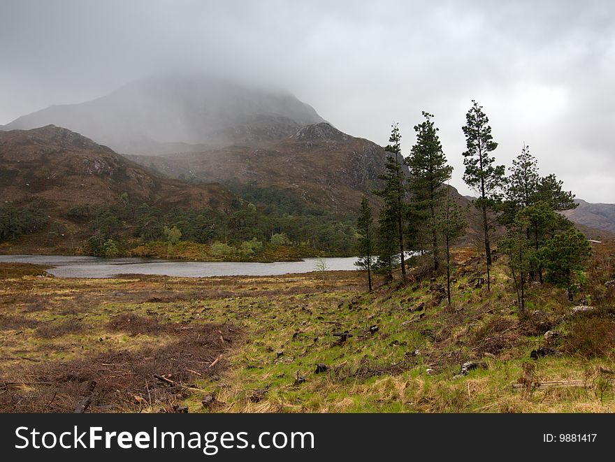 Scottish landscape - water and forest. Scottish landscape - water and forest
