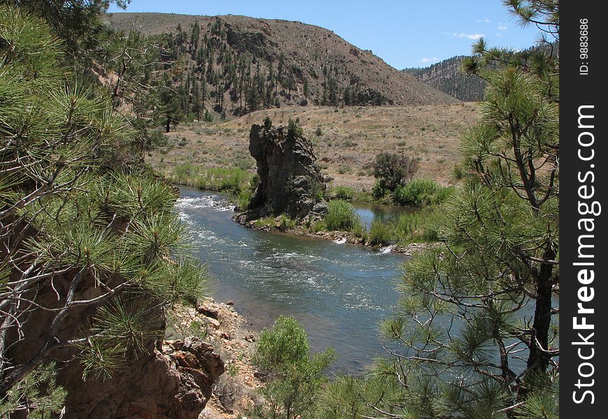 River flows by pine trees and fields. River flows by pine trees and fields