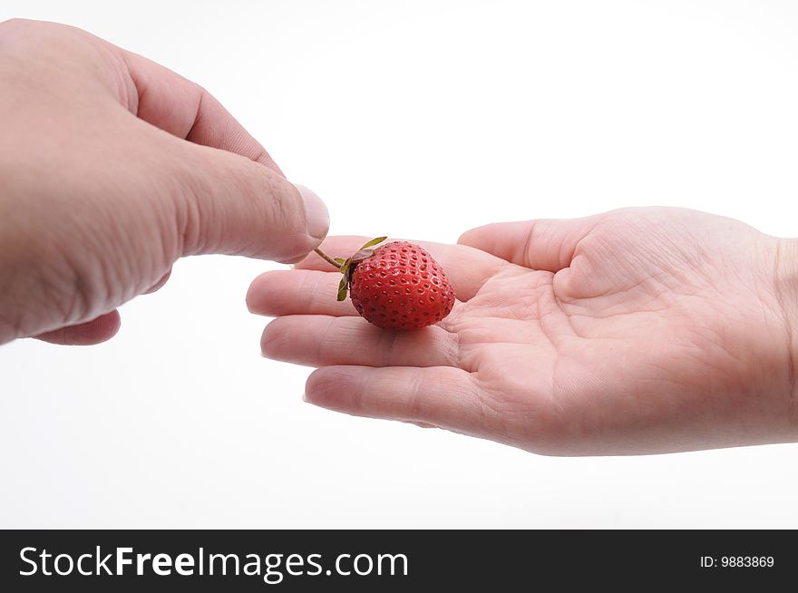 Hands with strawberry isolated on white background. Hands with strawberry isolated on white background
