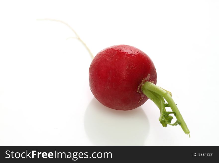 ONe fresh radish on white background