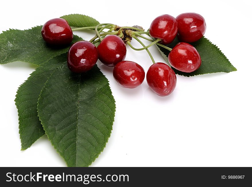 Close up with cherries isolated on white