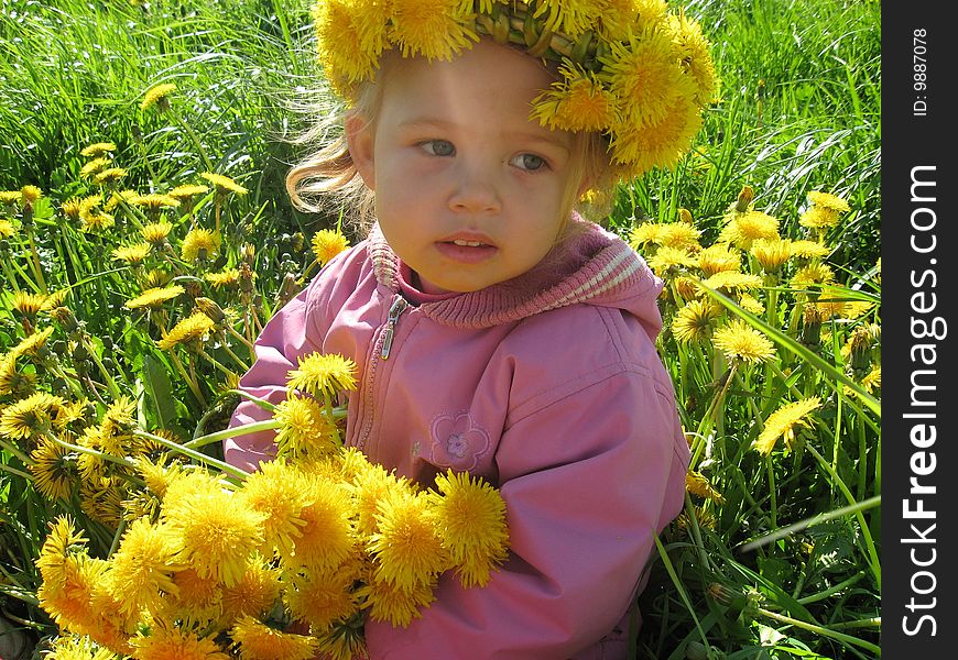 The girl at the spring in a meadow surrounded by dandelions. The girl at the spring in a meadow surrounded by dandelions