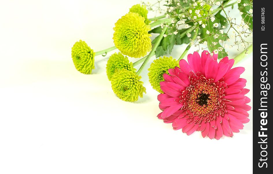 Spring bouquet with gerber isolated on white background