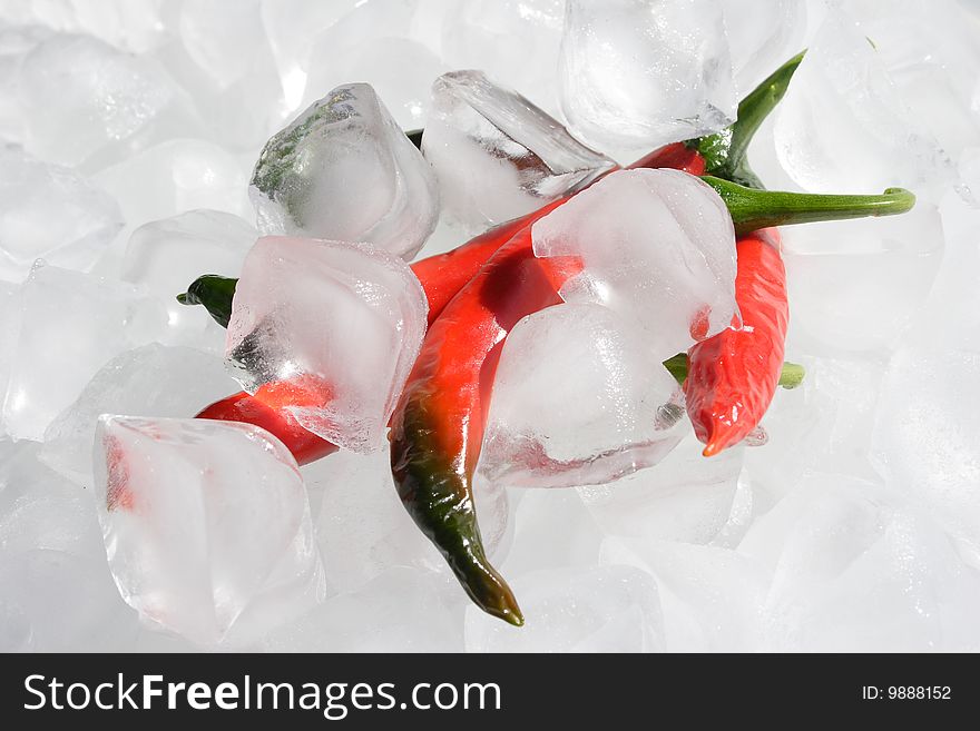 A bunch of Cayenne chillies on ice