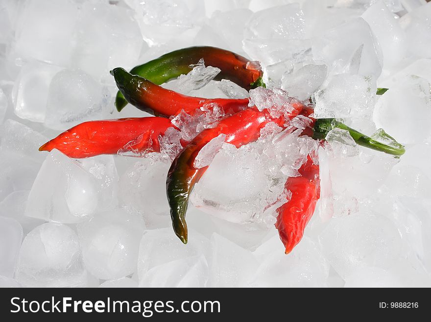 A bunch of Cayenne chillies on ice