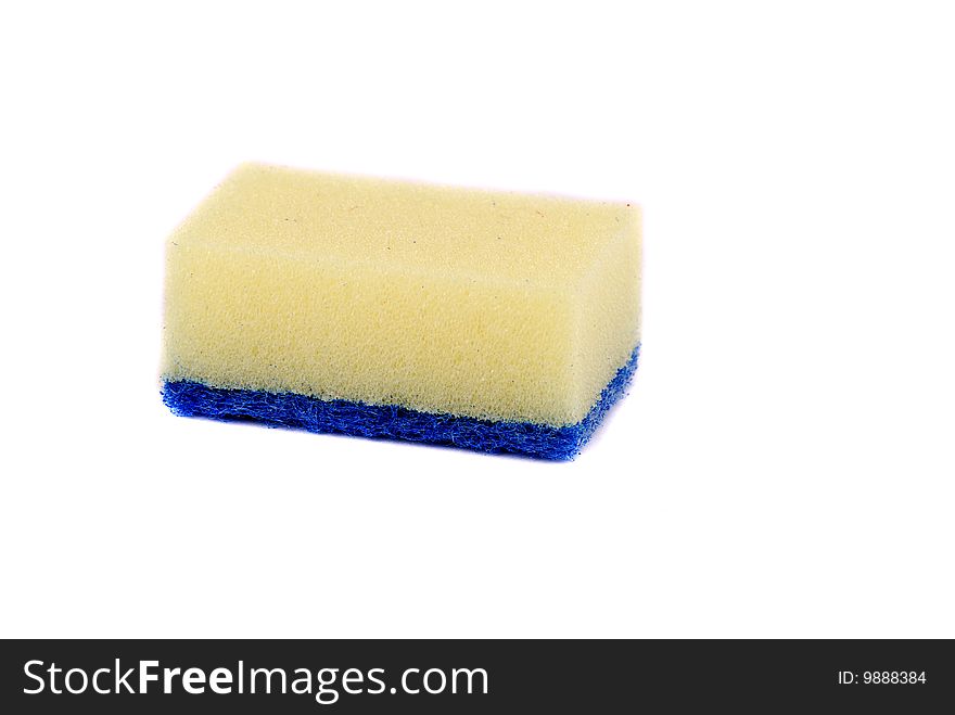 Small Sponge