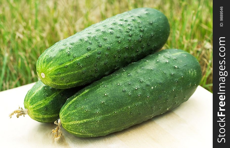Green cucumber on a background of green grass