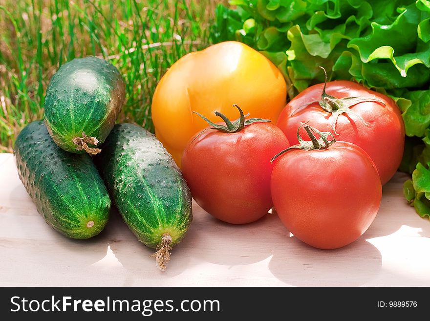 Healthy food on green grass background: tomatoes, cucumbers, sweet paper and leaves of lettuce