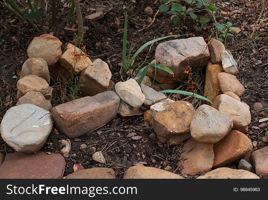 Butterfly Garden For Mom