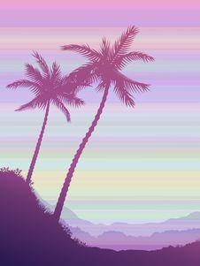 Two Palms Royalty Free Stock Images Two Palms Royalty Free Stock Images
