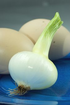White Onion With Eggs Stock Photos White Onion With Eggs Stock Photos