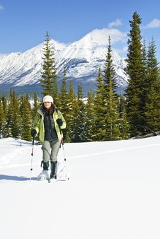 Woman Snowshoeing In The Canadian Rockies Royalty Free Stock Photos Woman Snowshoeing In The Canadian Rockies Royalty Free Stock Photos