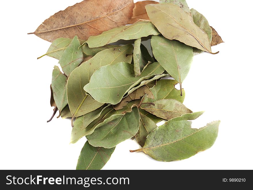 Laurel leaves on a white background. Spices for cooking.