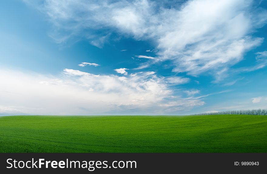 Photo of grass and blue sky