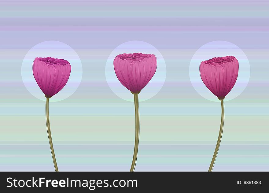 Three retro-styled poppy flowers