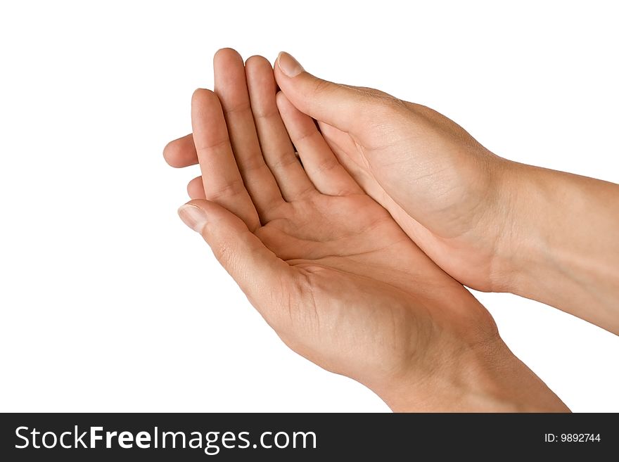 Hands in the white background. Hands in the white background