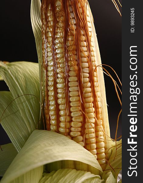 Corn in ears to industrial use. Corn in ears to industrial use