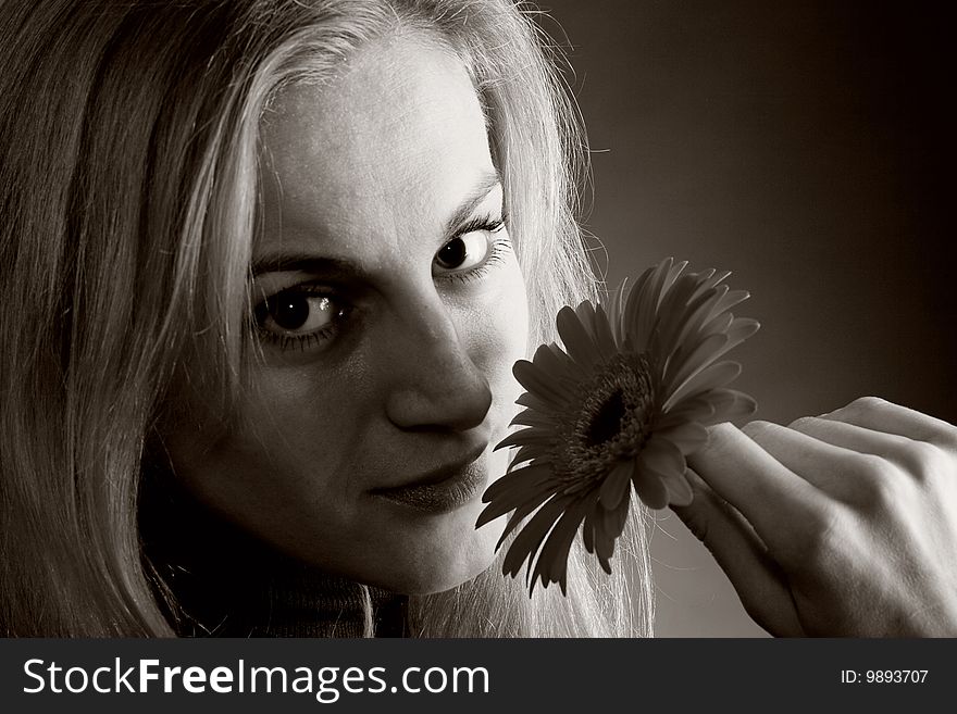 A young beautiful girl in dark jumper posing with a flower in her hand. A young beautiful girl in dark jumper posing with a flower in her hand