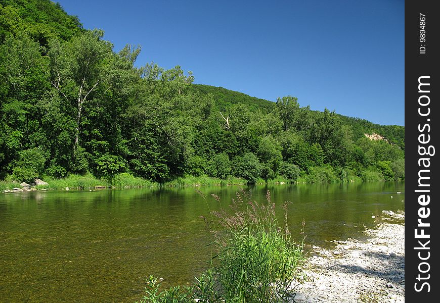 River (Clear river in summer)