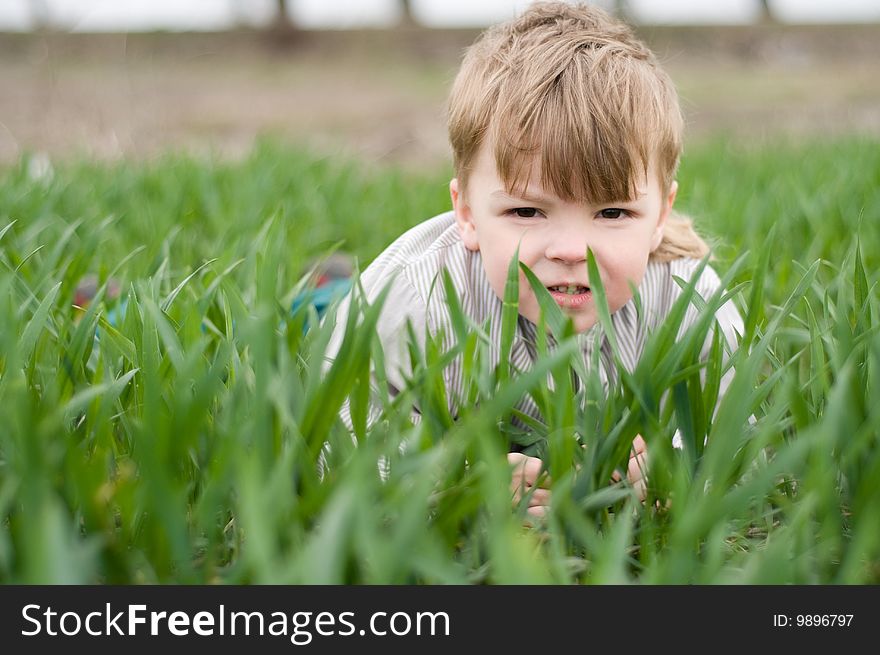 Little boy in the green grass. Little boy in the green grass