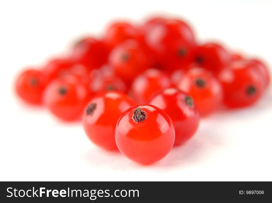 Red currant on a white background