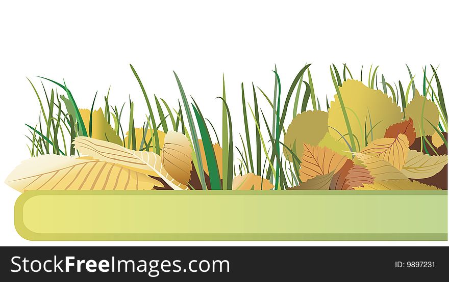 Vector banner with autumn leaves and green grass